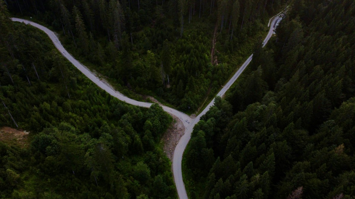 Aerial view of a forest road splitting into two directions